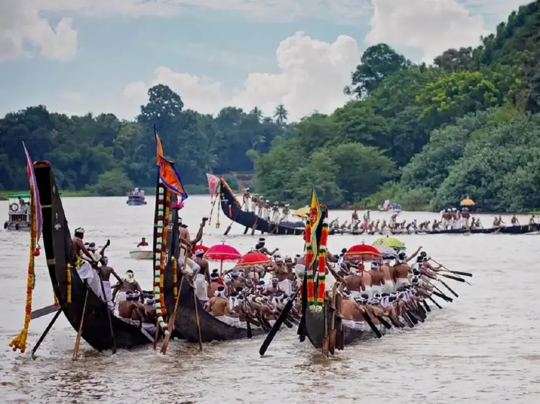 Snake Boat Race