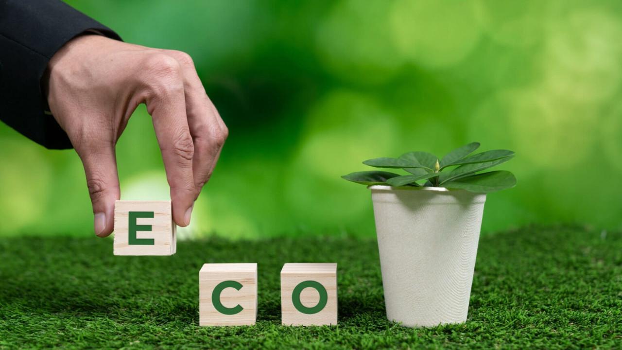 Celebrate with Conscience: Your Guide to Vibrant and Eco-Friendly Indian Festivals