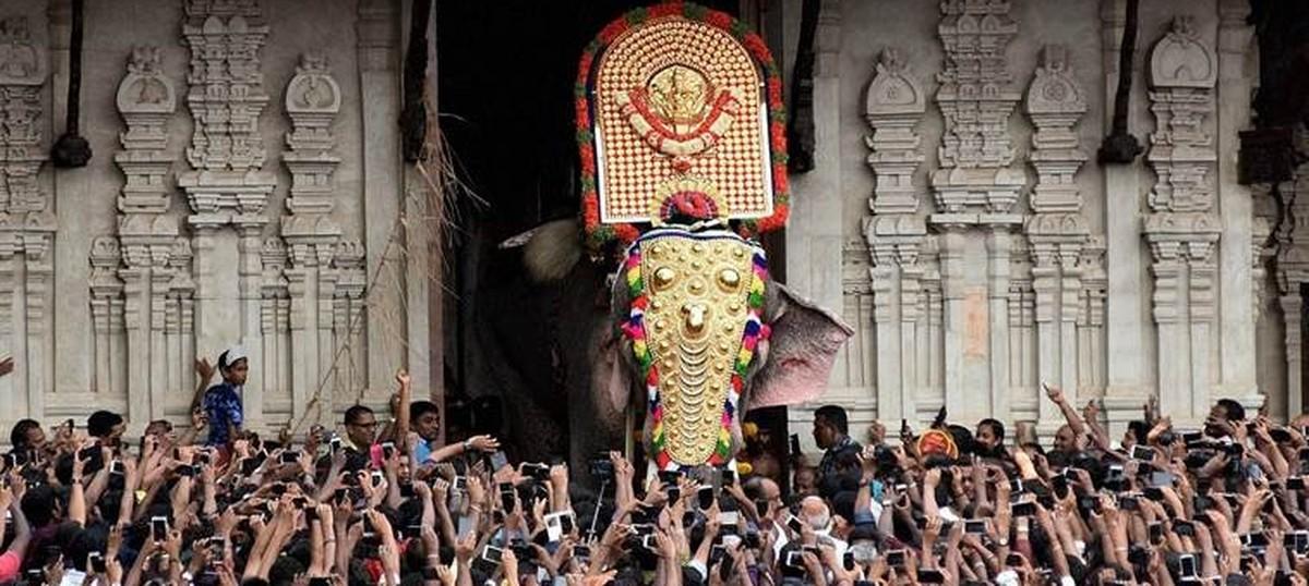 Thrissur Pooram: Kerala's Spectacle of Elephants and Percussion