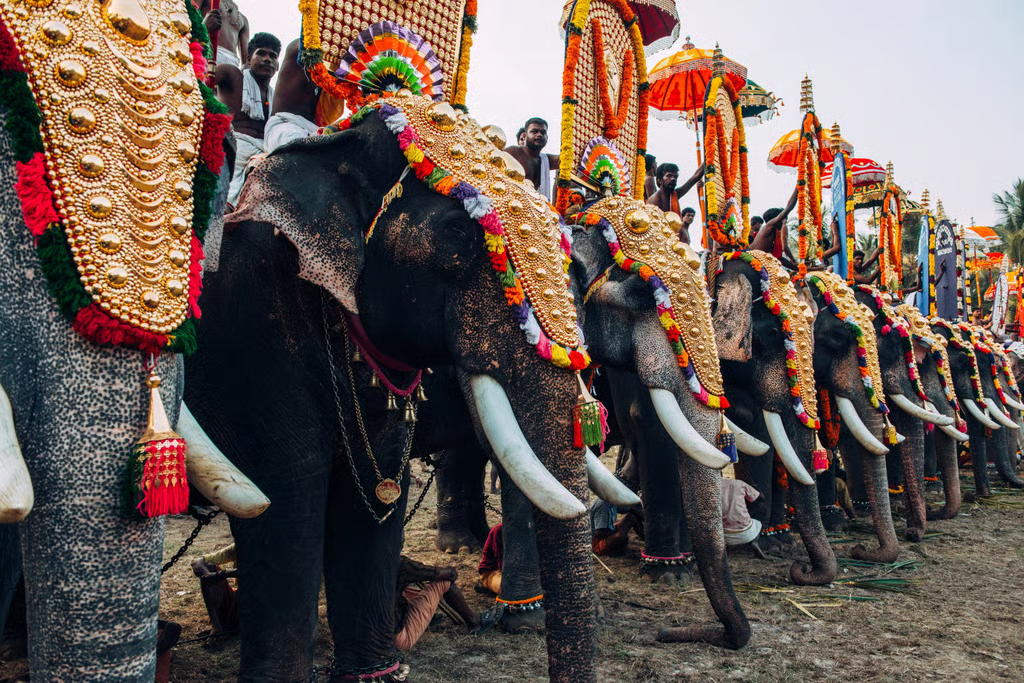 Blog: Festivals That Celebrate Animals